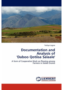 Documentation and Analysis of  'Daboo Qotiisa Salaale'