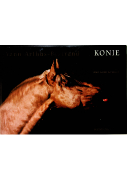 Konie