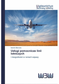 Usługi pomocnicze linii lotniczych