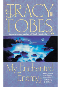 My Enchanted Enemy