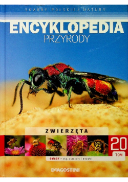 Encyklopedia Przyrody Tom 20  Zwierzęta Owady osy pszczoły i mrówki