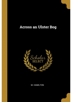 Across an Ulster Bog
