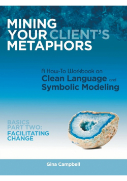 Mining Your Client's Metaphors