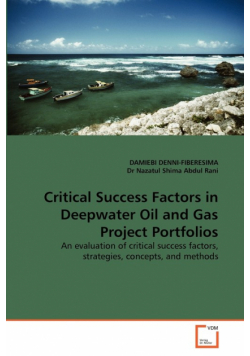 Critical Success Factors in Deepwater Oil and Gas Project Portfolios