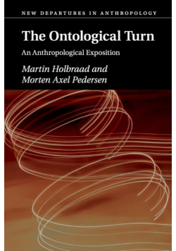 The Ontological Turn