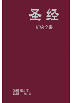 Chinese Simplified New Testament