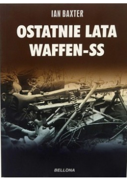 Ostatnie lata Waffen SS