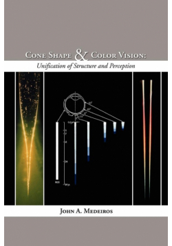 Cone Shape and Color Vision