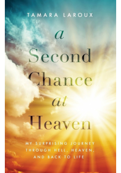 Second Chance at Heaven | Softcover