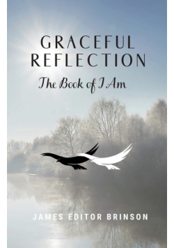 Graceful Reflection