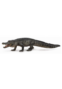 Aligator amerykański
