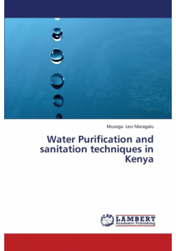 Water Purification and Sanitation Techniques in Kenya