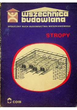 Stropy w budownictwie jednorodzinnym