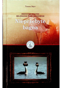 Nieprzebyte bagna