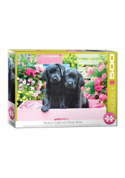 Puzzle 500 Czarne labradory w różowym pudełku XXL