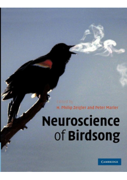 Neuroscience of Birdsong