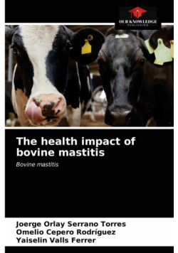 The health impact of bovine mastitis