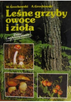 Leśne grzyby owoce i zioła