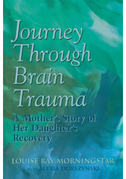 Journey Through Brain Trauma