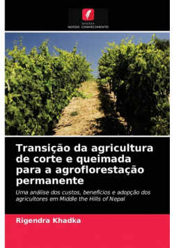 Transição da agricultura de corte e queimada para a agroflorestação permanente