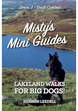 Misty's Mini Guides