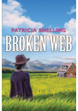Broken Web