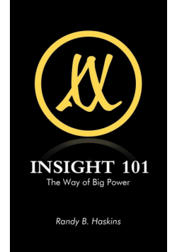Insight 101