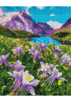 Mozaika diamentowa - Kwiaty górskie 40x50cm