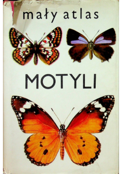 Mały Atlas motyli