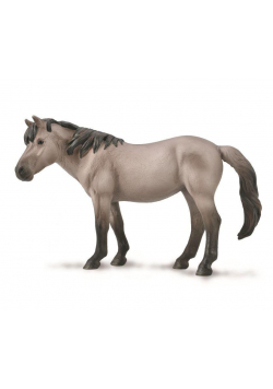Konik Mare-Blue Dun