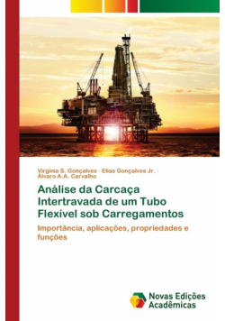 Análise da Carcaça Intertravada de um Tubo Flexível sob Carregamentos