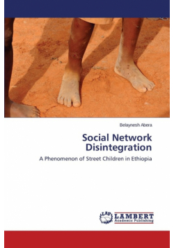 Social Network Disintegration