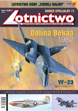 Lotnictwo nr 17