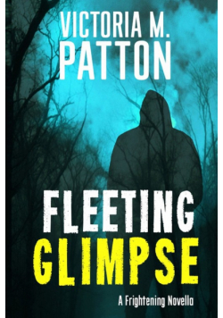 Fleeting Glimpse
