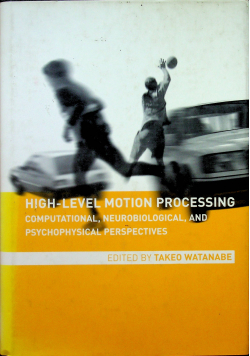 High level motion processing