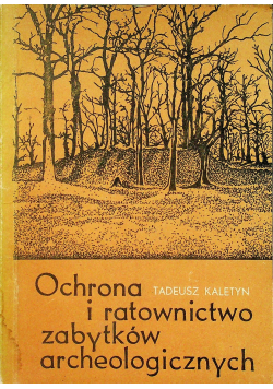 Ochrona i ratownictwo zabytków archeologicznych