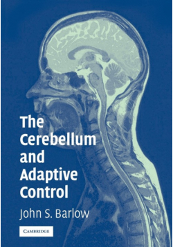 The Cerebellum and Adaptive Control