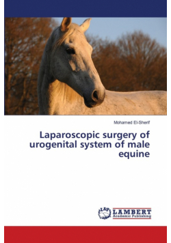 Laparoscopic surgery of urogenital system of male equine