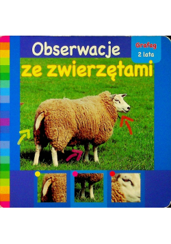 Obserwacje ze zwierzętami