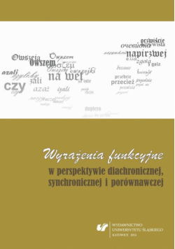Wyrażenia funkcyjne w perspektywie diachronicznej, synchronicznej i porównawczej