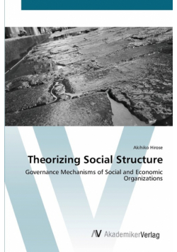 Theorizing Social Structure