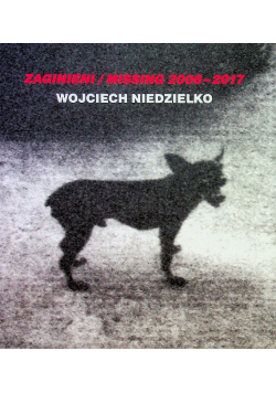 Zaginieni
