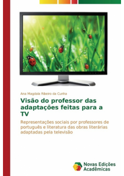 Visão do professor das adaptações feitas para a TV