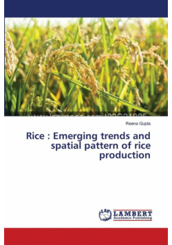 Rice