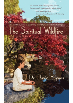 The Spiritual Wildfire