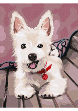 Malowanie po numerach - Zabawny szczeniak 30x40