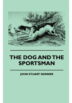 The Dog And The Sportsman