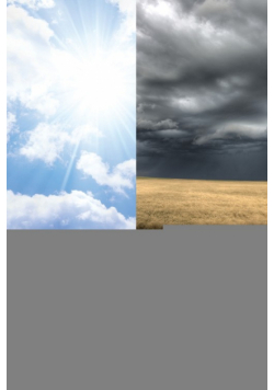 Schema Therapy with Couples - A Practitioner'sGuide to Healing Relationships