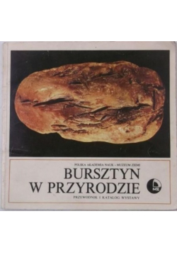 Bursztyn w przyrodzie Przewodnik i katalog wystawy