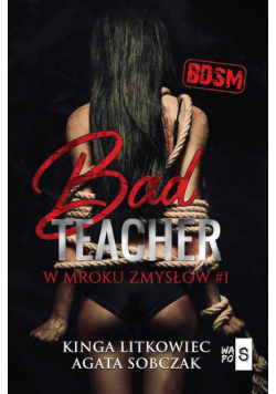Bad Teacher. W mroku zmysłów